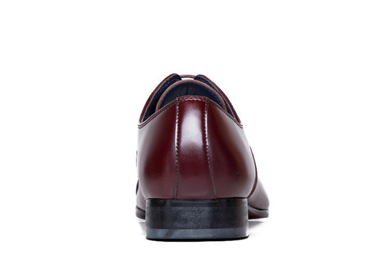 Tamanho normal esculpido para homens, sapatos de ponta, adultos, sapatos de renda castanho.